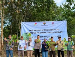 SPR Langgak-SKK Migas Laksanakan Program Penanaman Pohon dan Sosialisasi Industri Hulu Migas di Universitas Pahlawan Tuanku Tambusai