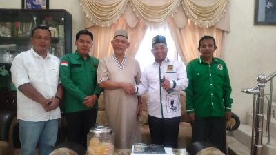 Ketua Fraksi PPP