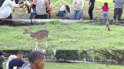 Wajah Baru Lebaran di Rohul, Merajut Bahagia di Jantung Kota Pasir Pengaraian