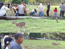 Wajah Baru Lebaran di Rohul, Merajut Bahagia di Jantung Kota Pasir Pengaraian