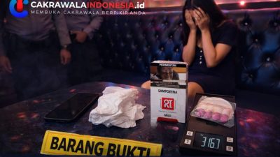 Kapolsek Tambusai Utara