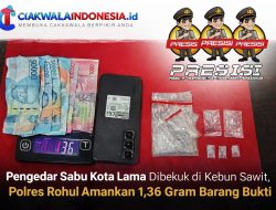 Pengedar Sabu Kota Lama Dibekuk di Kebun Sawit, Polres Rohul Amankan 1,36 Gram Barang Bukti