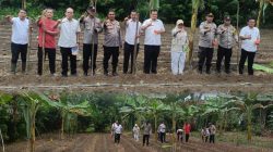Perkuat Ketahanan Pangan, Polsek Rambah Tanam Jagung di Bangun Purba