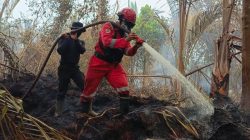 Tim Gabungan Redam Amuk Karhutla di Bengkalis, Gunakan Strategi Pukul Kepala Api