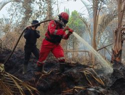 Tim Gabungan Redam Amuk Karhutla di Bengkalis, Gunakan Strategi Pukul Kepala Api