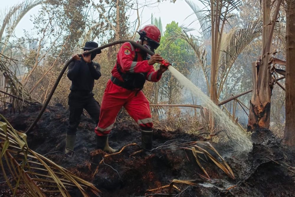 Karhutla di Bengkalis