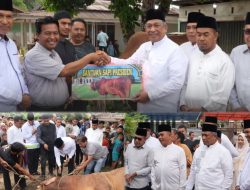 Turun ke Lapangan, Bupati Anton dan Jajaran Pastikan 81 Hewan Kurban Sampai ke Warga Rohul