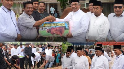 Sapi Kurban Bantuan Presiden RI