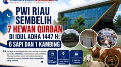 PWI Riau Sembelih 7 Hewan Qurban di Idul Adha 1447 H: 6 Sapi dan 1 Kambing