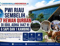 PWI Riau Sembelih 7 Hewan Qurban di Idul Adha 1447 H: 6 Sapi dan 1 Kambing