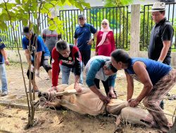 PWI Riau Sembelih 7 Hewan Kurban Idul Adha 1447 H, Libatkan Keluarga Besar dan Mitra