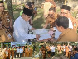 Sapi Kurban Bantuan Presiden Prabowo Diserahkan ke Masjid Agung Al Mannan Dumai, Bobot Samson Capai 910 Kilogram