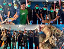 Lolos Pemeriksaan Karantina, 10.362 Ekor Ikan Asal Natuna Diekspor Lagi ke Hongkong