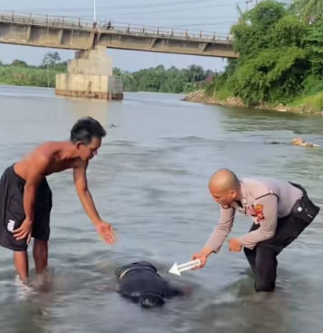 Penemuan Mayat di Sungai Rokan