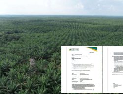 Kelompok Tani Kesepakatan Bersama Tegaskan Penugasan Pengelolaan Lahan Eks Ationg Legal, Bantah Narasi Penolakan ‎