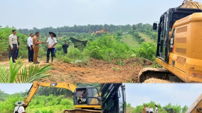 Pembukaan Lahan Sawit Tanpa Membakar