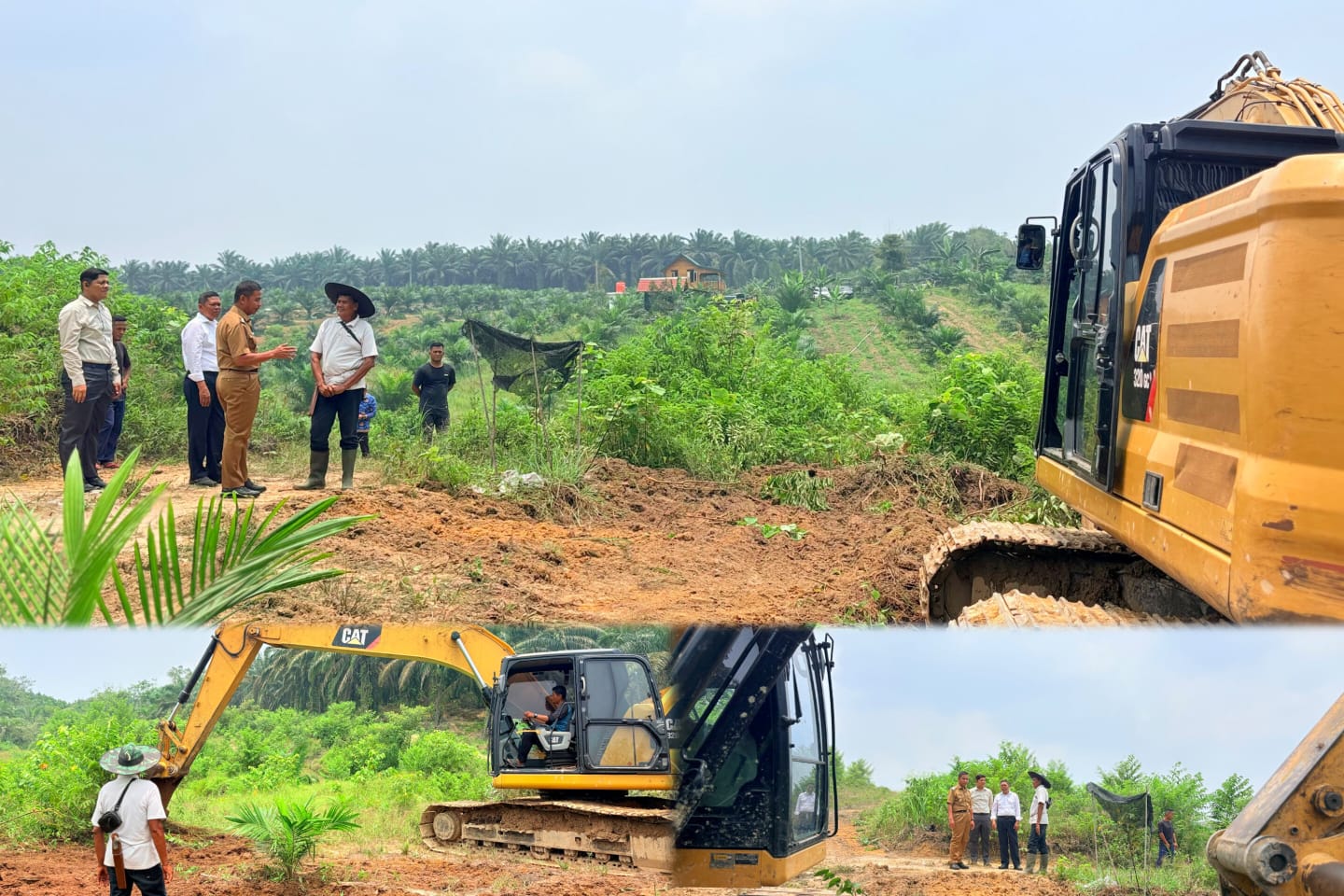 Pembukaan Lahan Sawit Tanpa Membakar