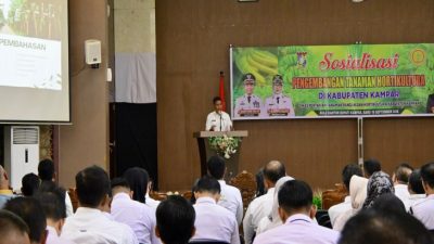 Sosialisasi Pengembangan Tanaman Holtikultura di Kampar