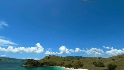 Top Komodo Tours