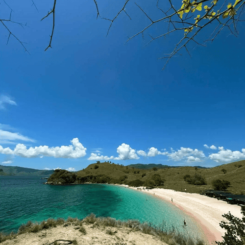 Top Komodo Tours