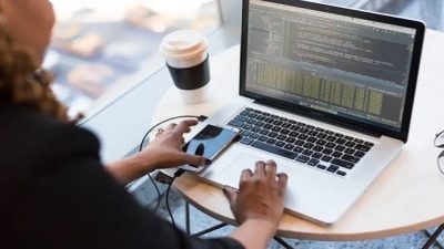 Developer