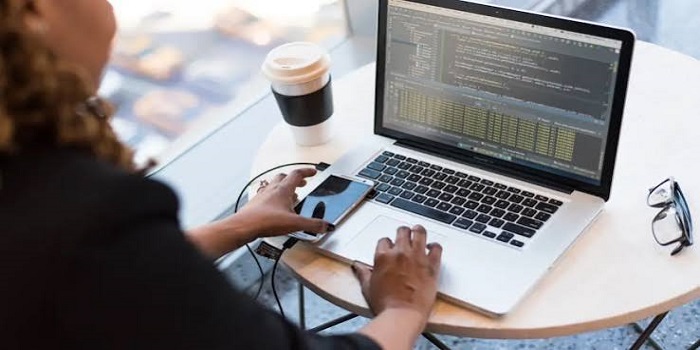 Developer