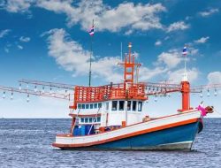 ONG Seafood: Eksportir Seafood Jakarta & Bali untuk Industri Hospitality, Restoran, dan Katering