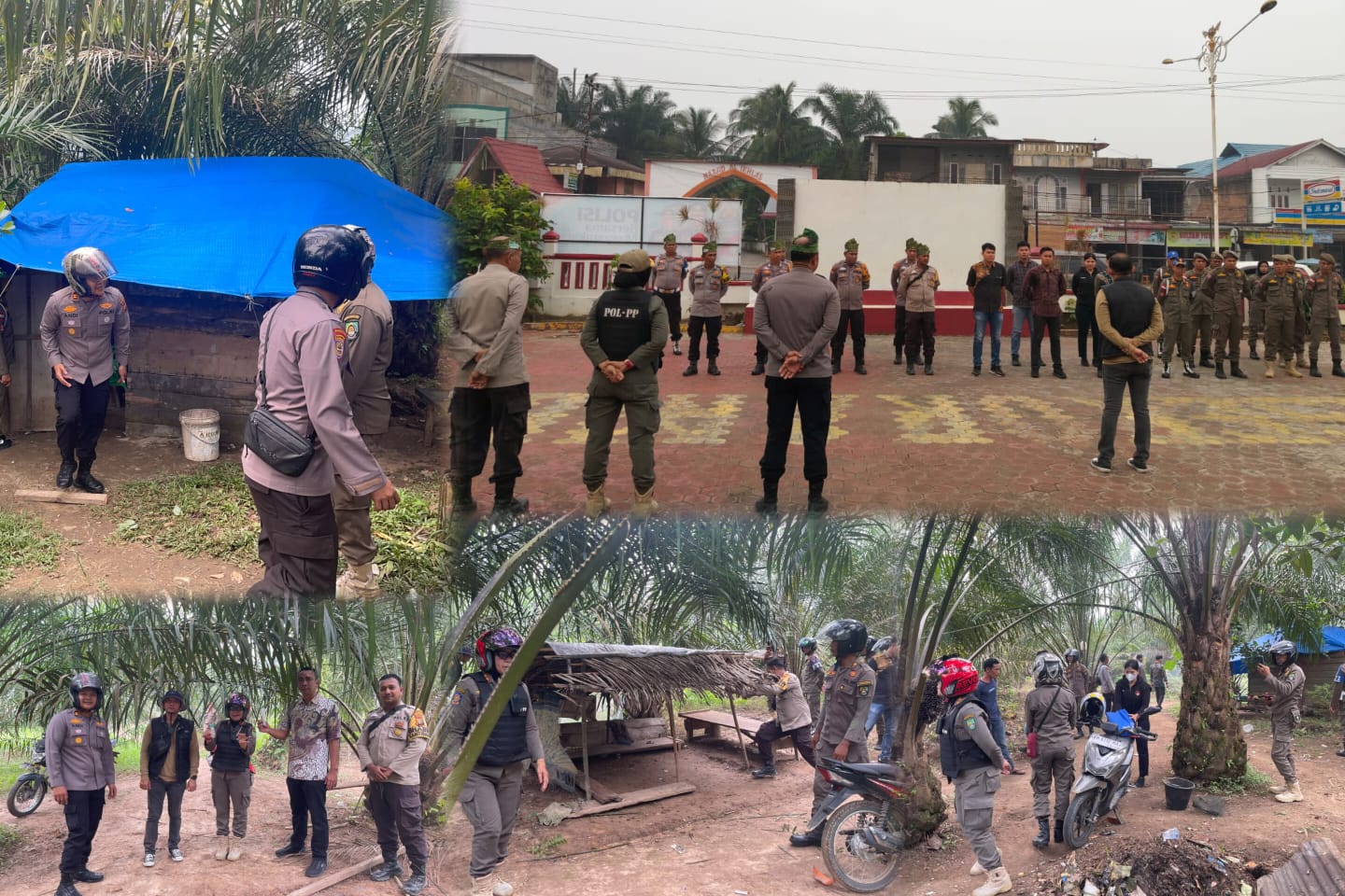Operasi Sarang Narkoba
