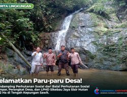 Pendamping Perhutanan Sosial, Perangkat Desa dan LPHD Sikebau Jaya Sisir Hutan 7,52 Ha di Tengah Kepungan Sawit