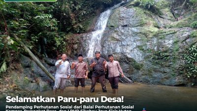Sisir Hutan Desa Sikebau Jaya